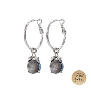 WHBM Light Blue/Grey Reversible Drop Hoop Earrings